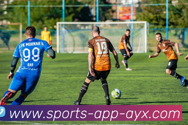 爱游戏AYX服务体系